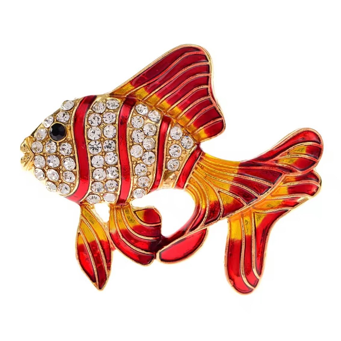 Coral Nemo
