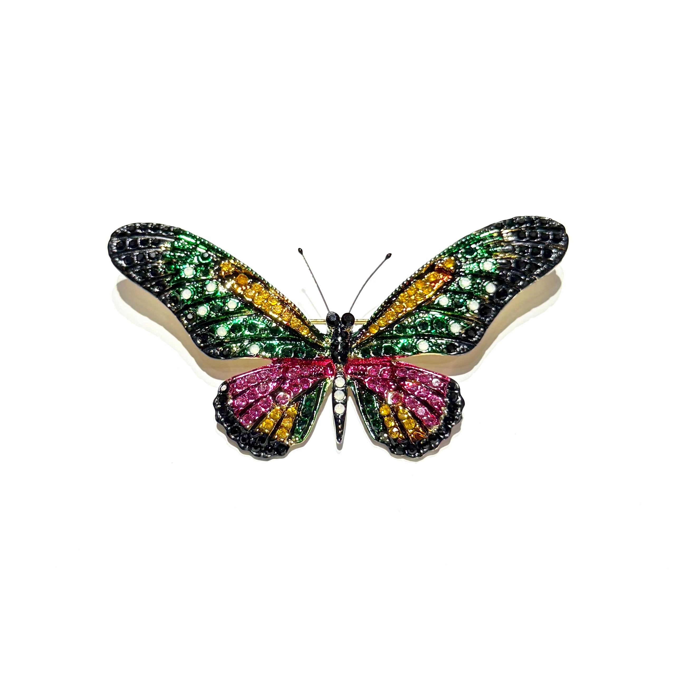 Aurelia Butterfly