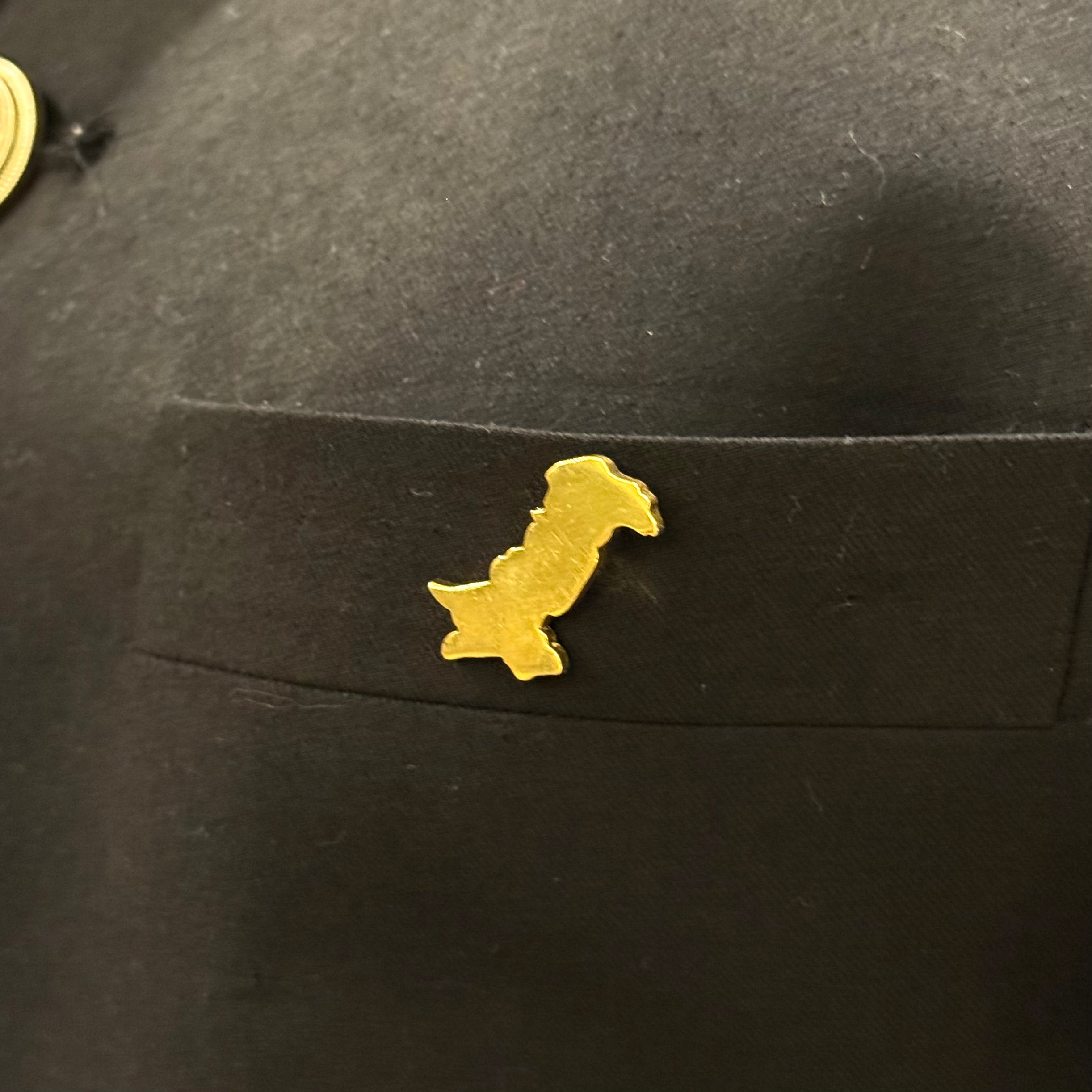 Pakistan Map - Gold