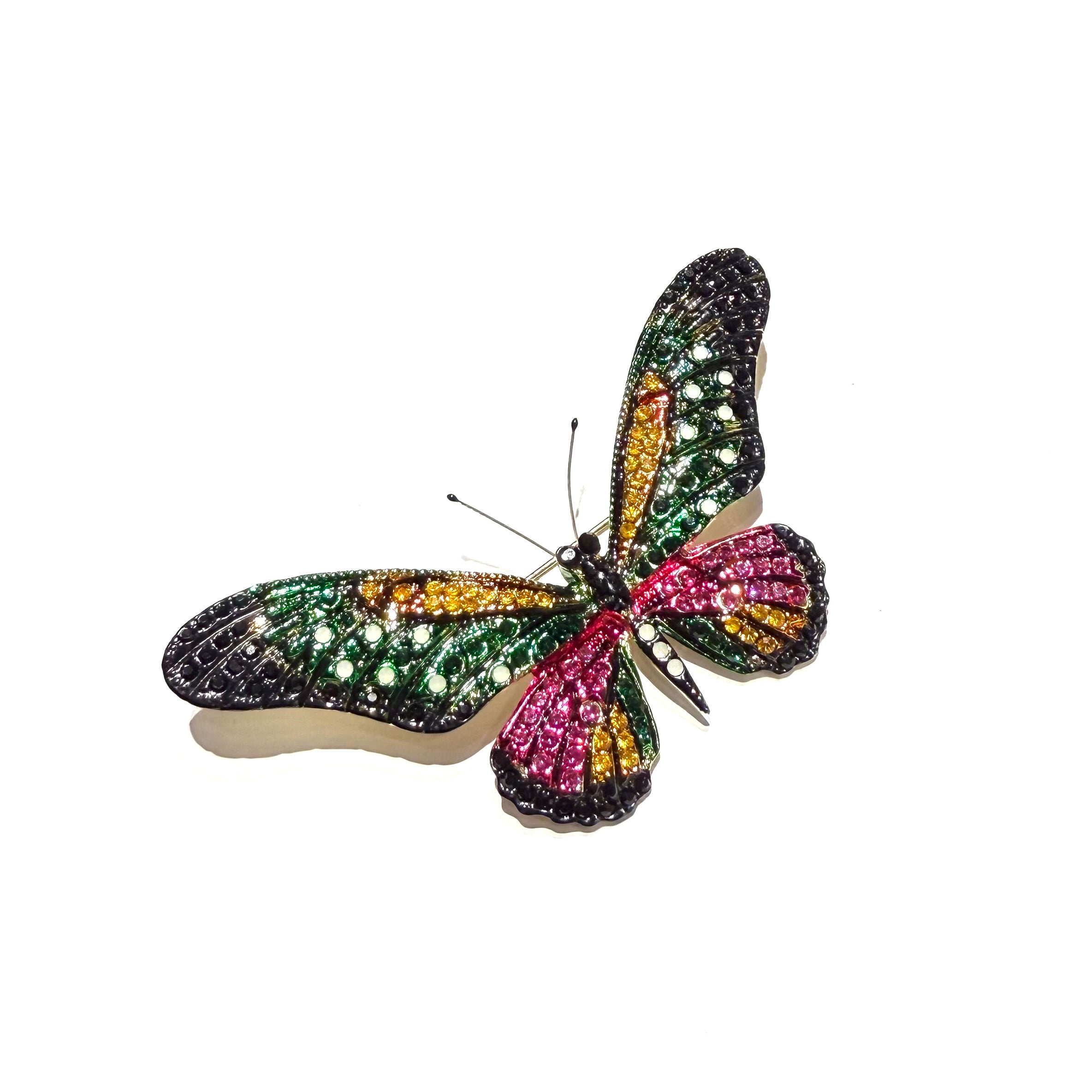 Aurelia Butterfly