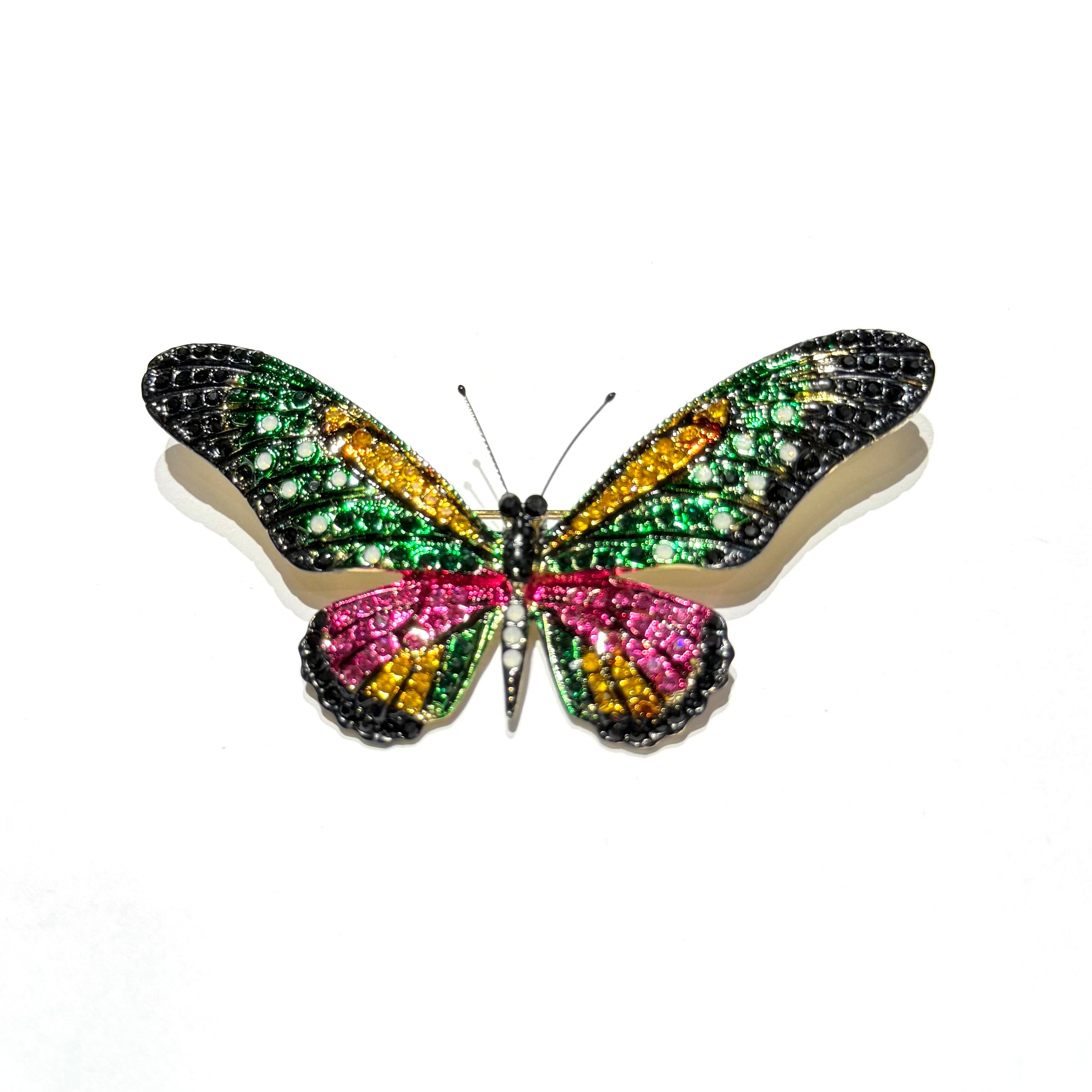 Aurelia Butterfly