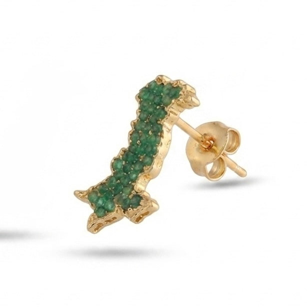 Pak Map Stone Studs